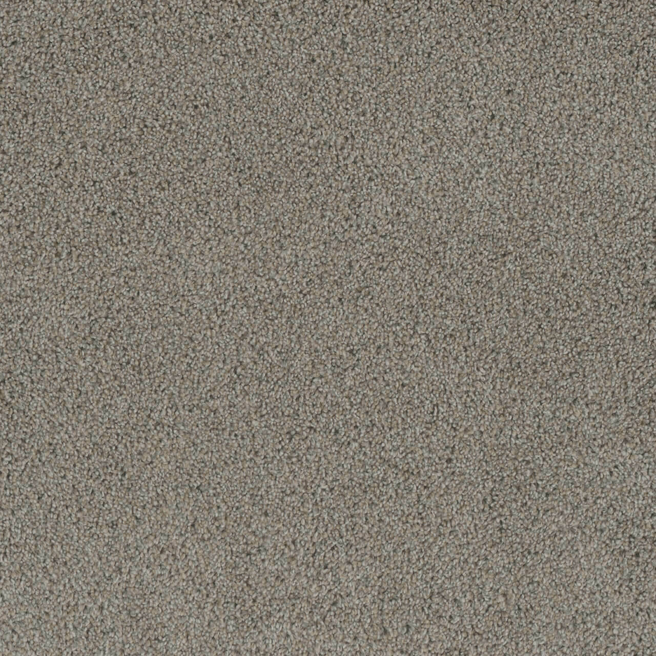 Dreamweaver Carpet Crown Garden III Rice Paper Carpet 2370_2849