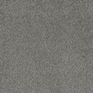 Dreamweaver Carpet Crown Garden III Crushed Pebble Carpet 2370_2850
