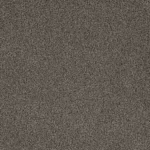 Dreamweaver Carpet Crown Garden III Delicate Drift Carpet 2370_2971