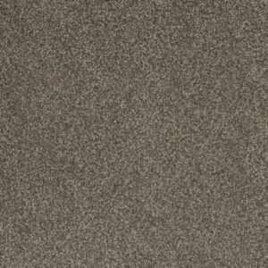 Dreamweaver Carpet Crown Garden III Status Quo Carpet 2370_2992