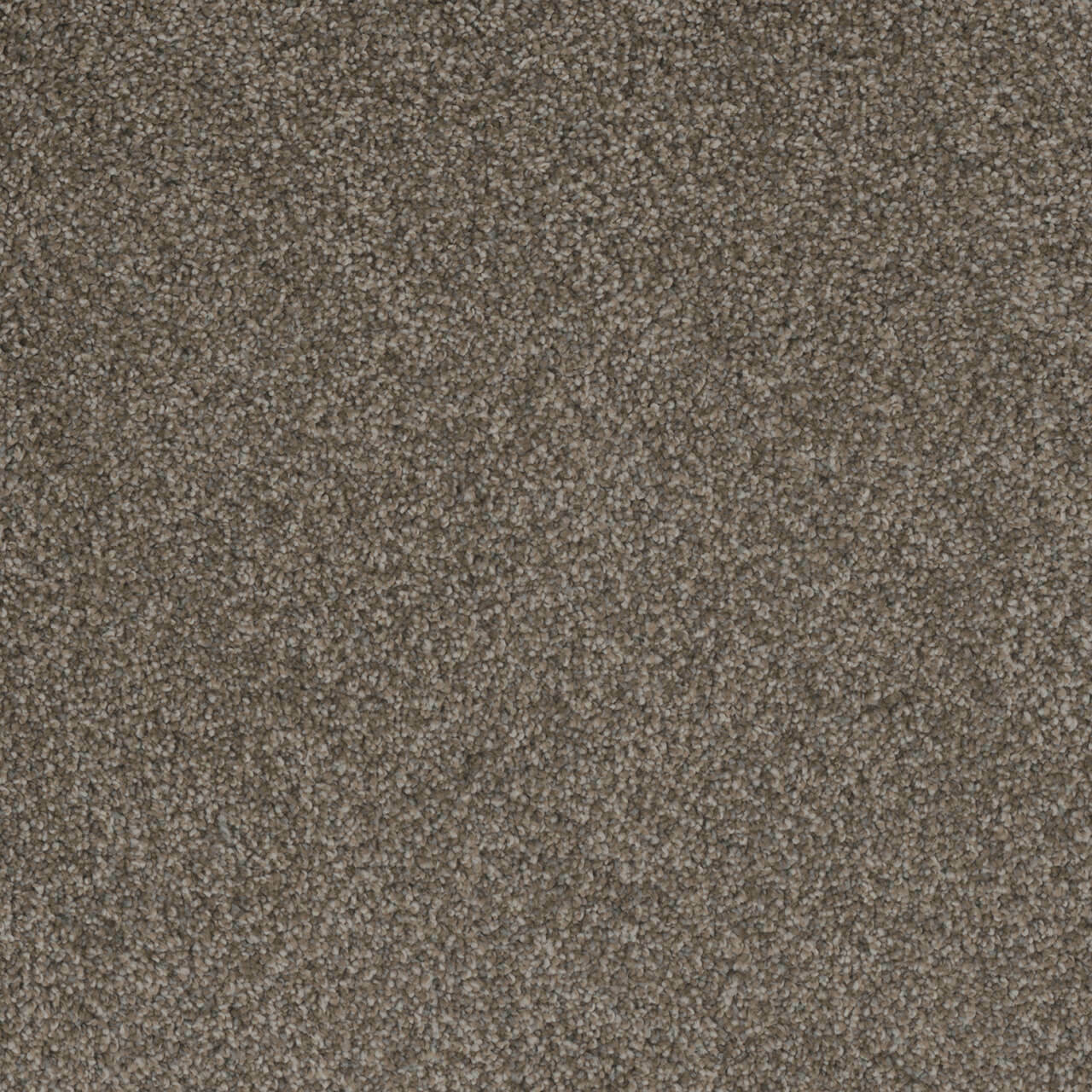 Dreamweaver Carpet Crown Garden III Status Quo Carpet 2370_2992