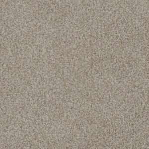 Dreamweaver Carpet Crown Garden III Paperwhite Carpet 2370_3003