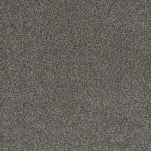 Dreamweaver Carpet Crown Garden III Steamboat Carpet 2370_3005