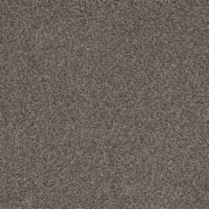 Dreamweaver Carpet Crown Garden III Straw Hat Carpet 2370_3059