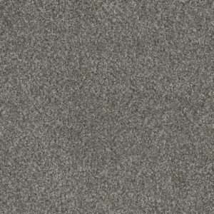 Dreamweaver Carpet Crown Garden III Silver Fox Carpet 2370_3064