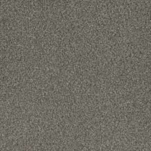 Dreamweaver Carpet Crown Garden III Oyster Bay Carpet 2370_3071