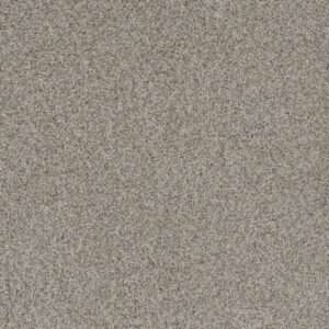 Dreamweaver Carpet Crown Garden III Classic Charm Carpet 2370_6022