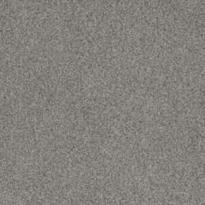 Dreamweaver Carpet Crown Garden III Aspen White Carpet 2370_6319