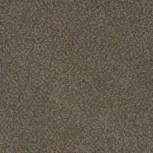 Dreamweaver Carpet Crown Garden III Dapper Dan Carpet 2370_6340