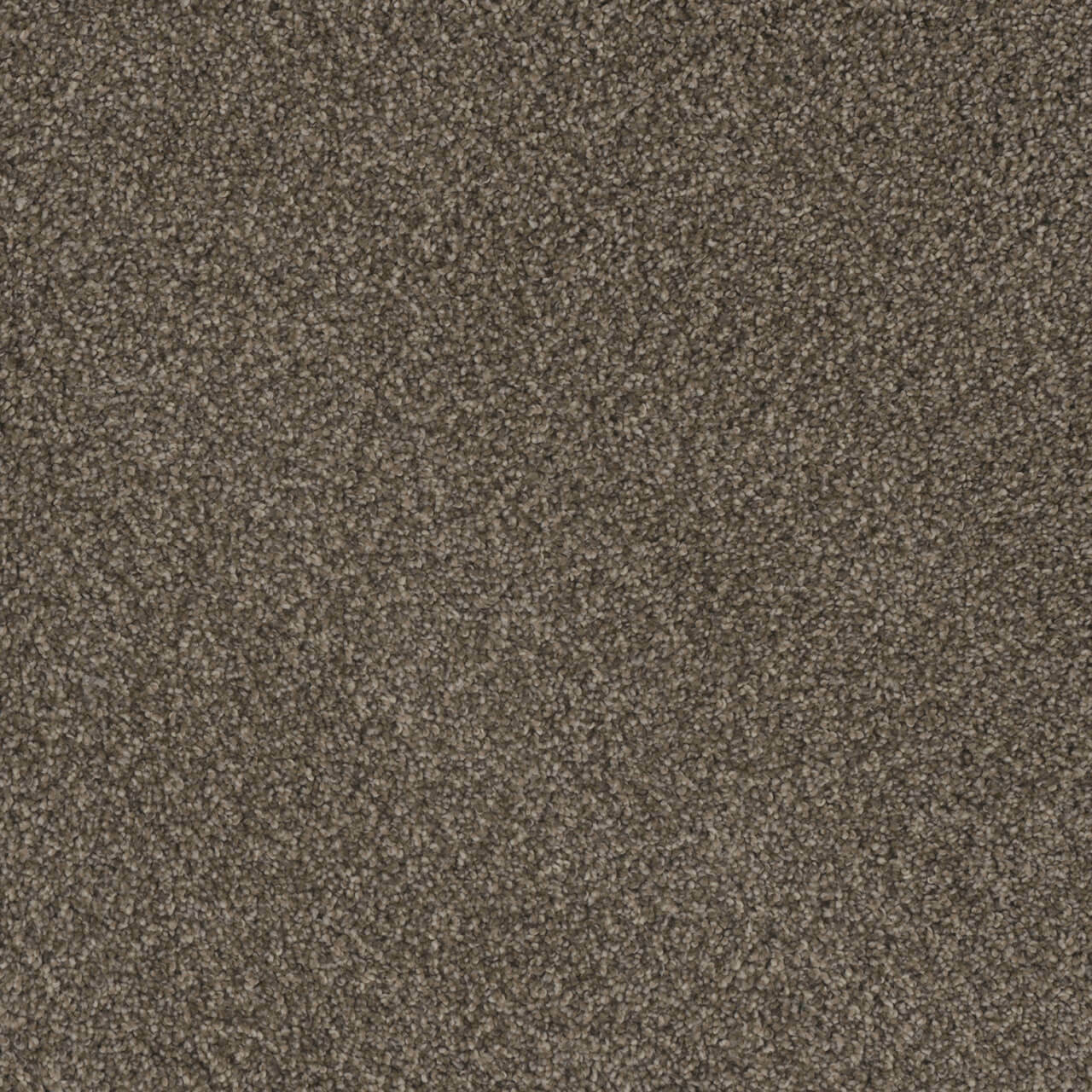 Dreamweaver Carpet Crown Garden III Dapper Dan Carpet 2370_6340
