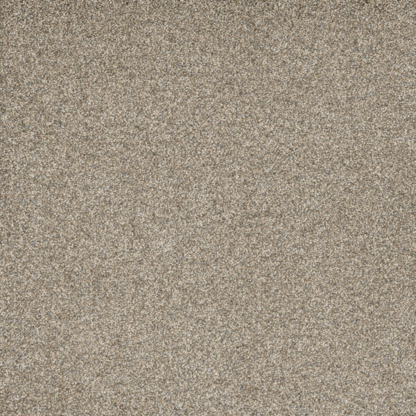 Dreamweaver Carpet Astounding II Dreamcatcher Carpet 2545_233