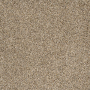 Dreamweaver Carpet Astounding II Amberwood Carpet 2545_529