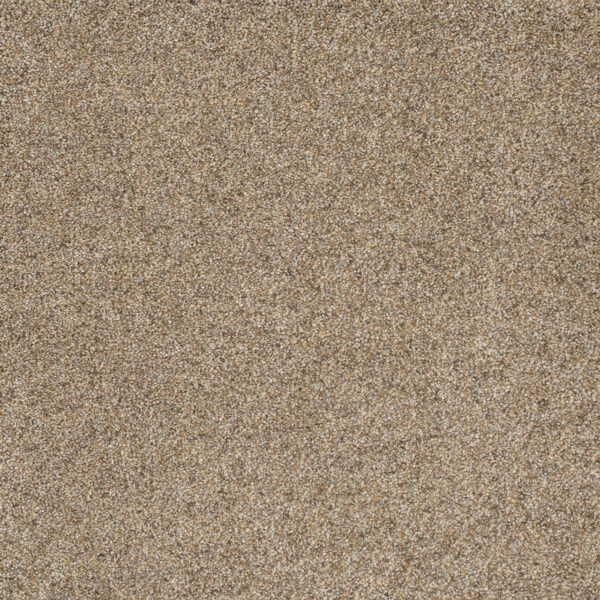 Dreamweaver Carpet Astounding II Amberwood Carpet 2545_529