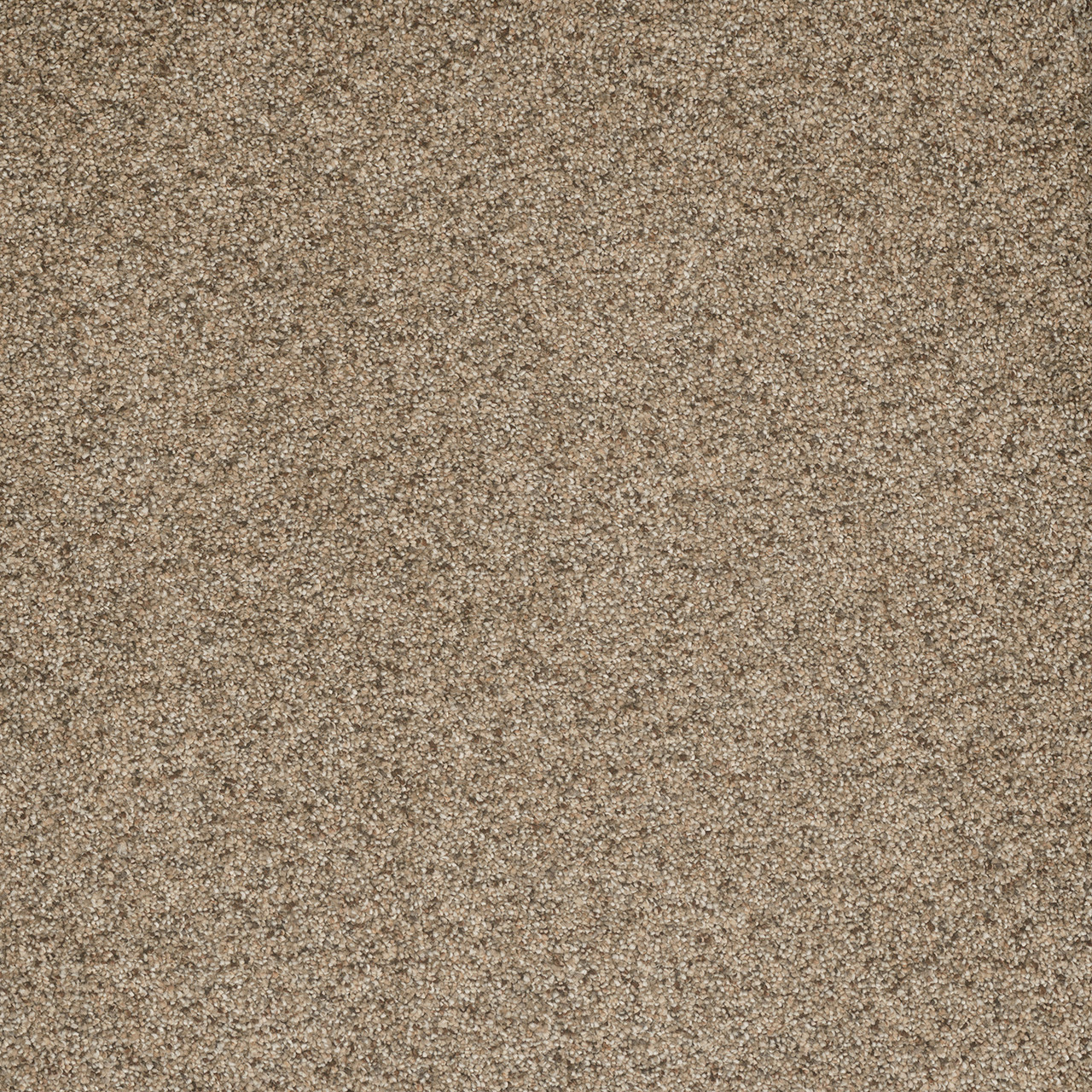 Dreamweaver Carpet Astounding I Fiery Clay Carpet 2530_545