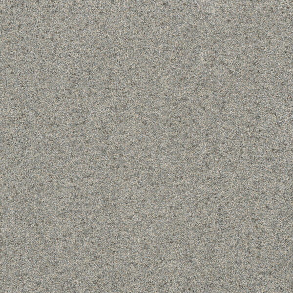 Dreamweaver Carpet Astounding II Nordic Mist Carpet 2545_837