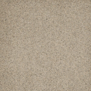 Dreamweaver Carpet Astounding II Pacific Breeze Carpet 2545_873