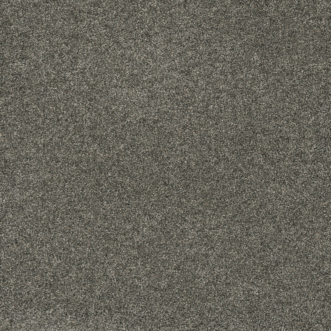 Dreamweaver Carpet Astounding I Anchors Aweigh Carpet 2530_993