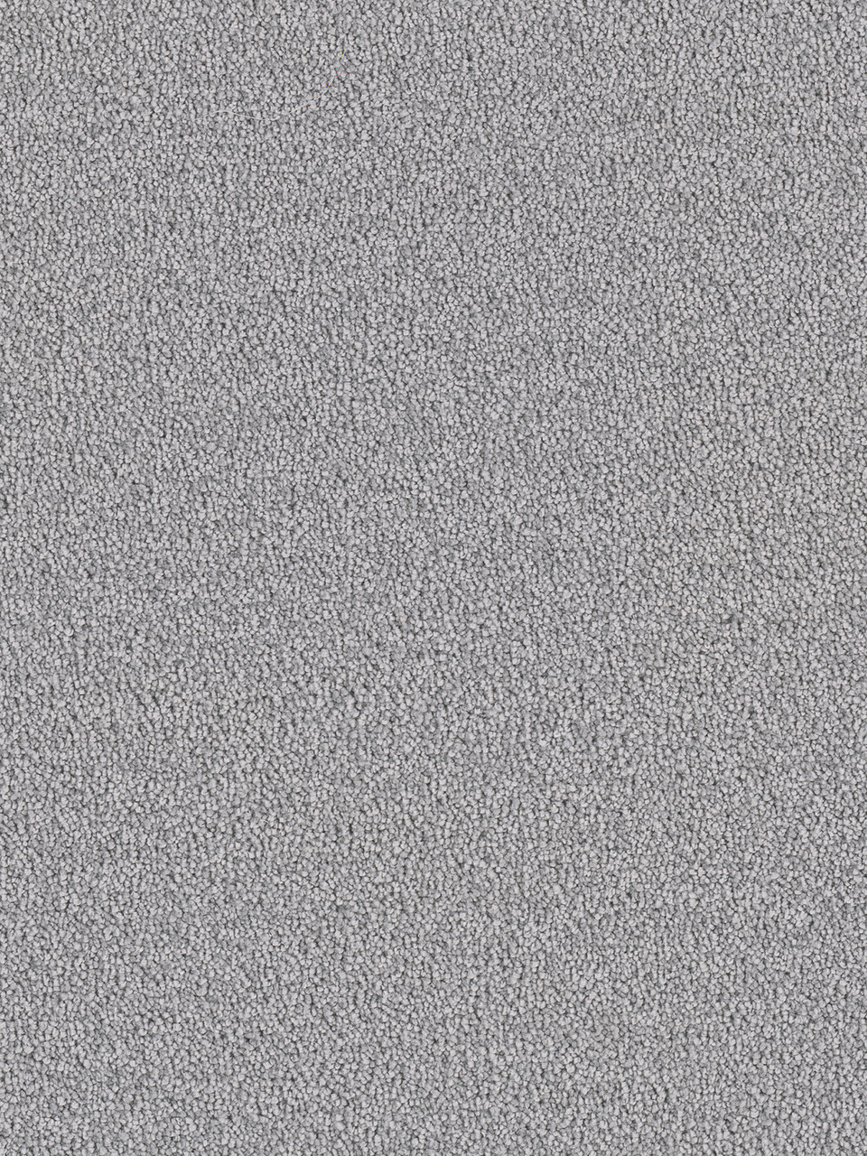 Dreamweaver Carpet Cape Cod Smoke Carpet 2540_420