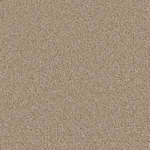 Dreamweaver Carpet Cape Cod Cashew Carpet 2540_530
