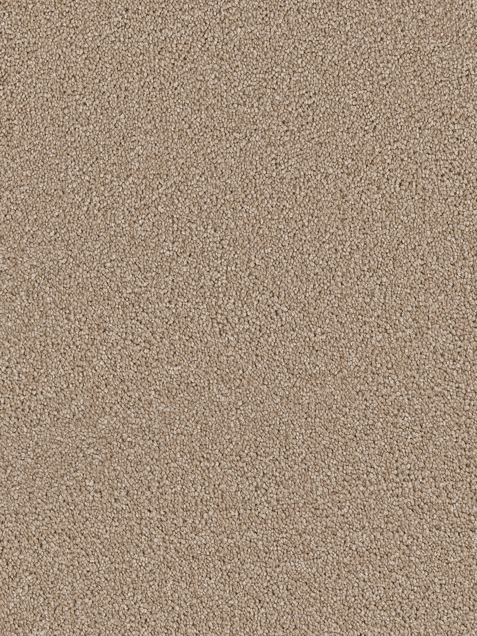 Dreamweaver Carpet Cape Cod Cashew Carpet 2540_530
