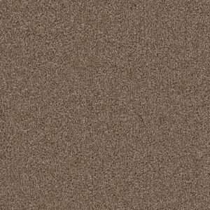Dreamweaver Carpet Cape Cod Cocoa Carpet 2540_550