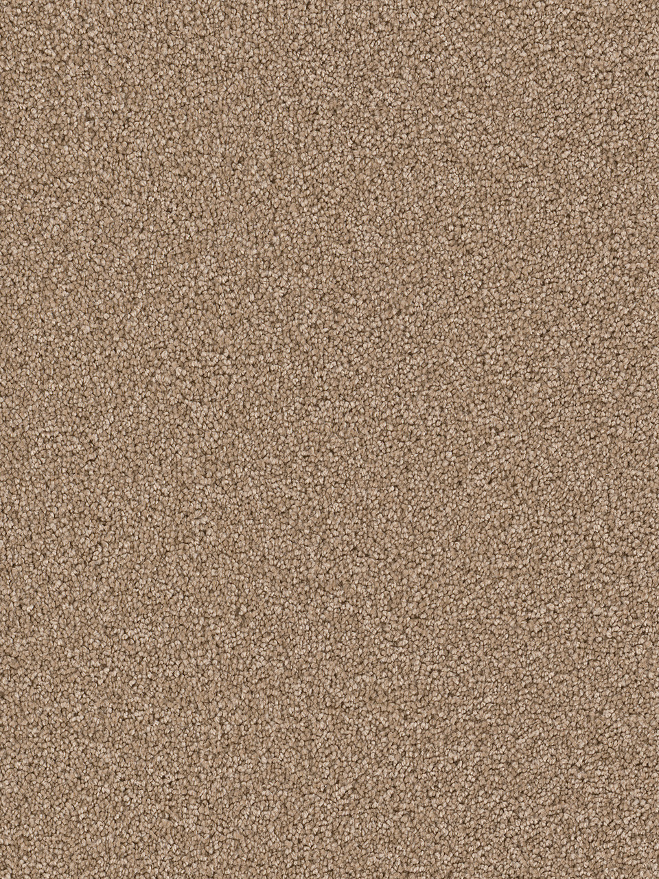 Dreamweaver Carpet Cape Cod Bamboo Carpet 2540_565