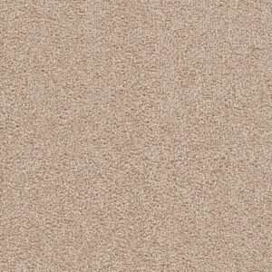 Dreamweaver Carpet Cape Cod Sand Carpet 2540_710