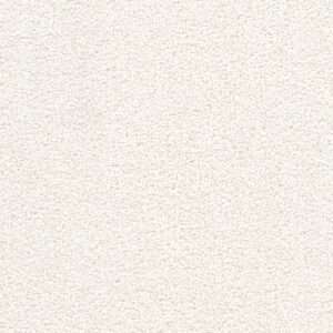 Dreamweaver Carpet Cape Cod Opaline Carpet 2540_714