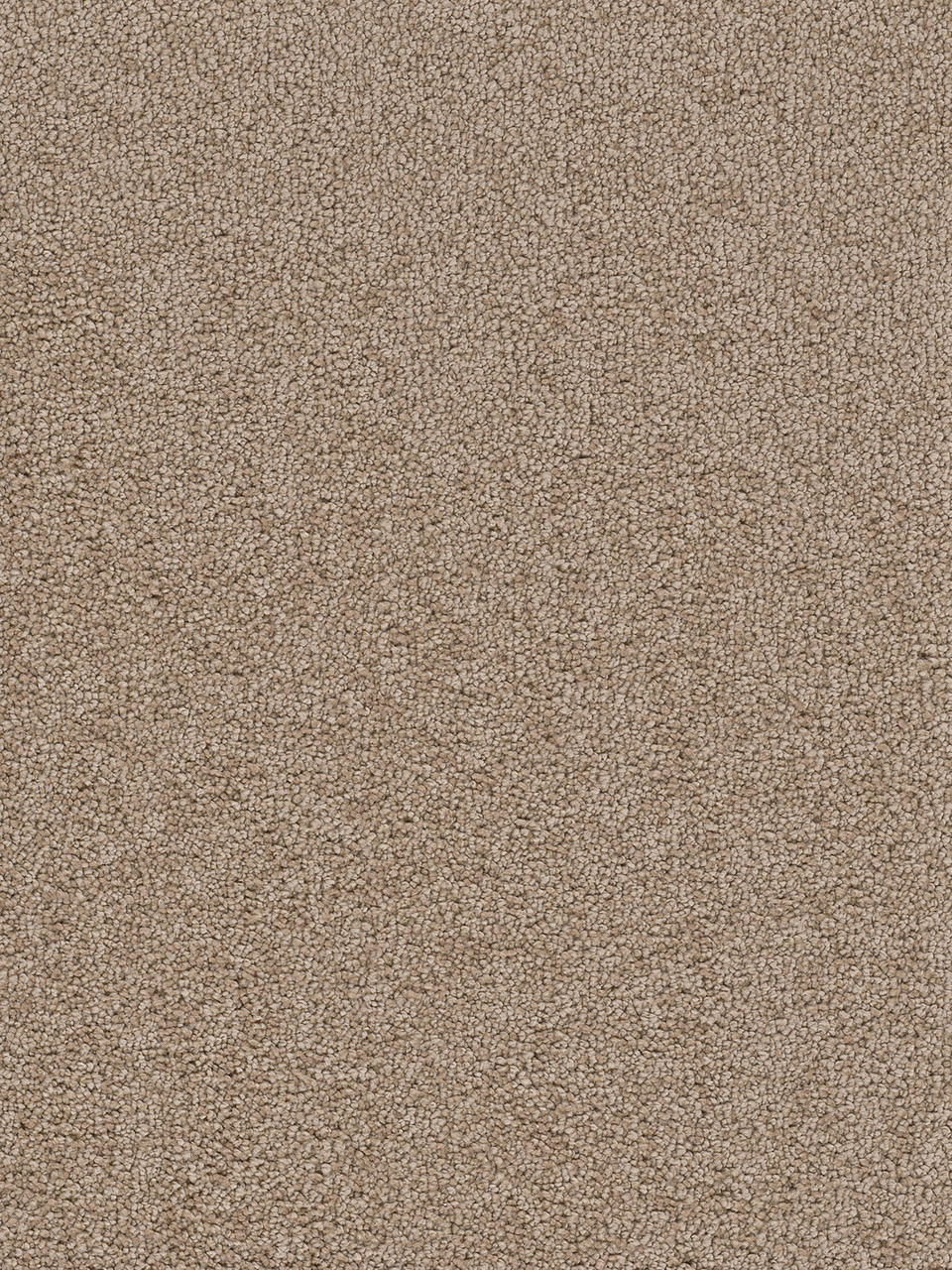 Dreamweaver Carpet Cape Cod Mushroom Carpet 2540_715