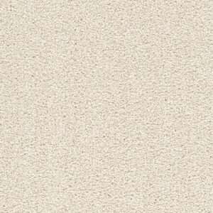 Dreamweaver Carpet Cape Cod Pearlesque Carpet 2540_716