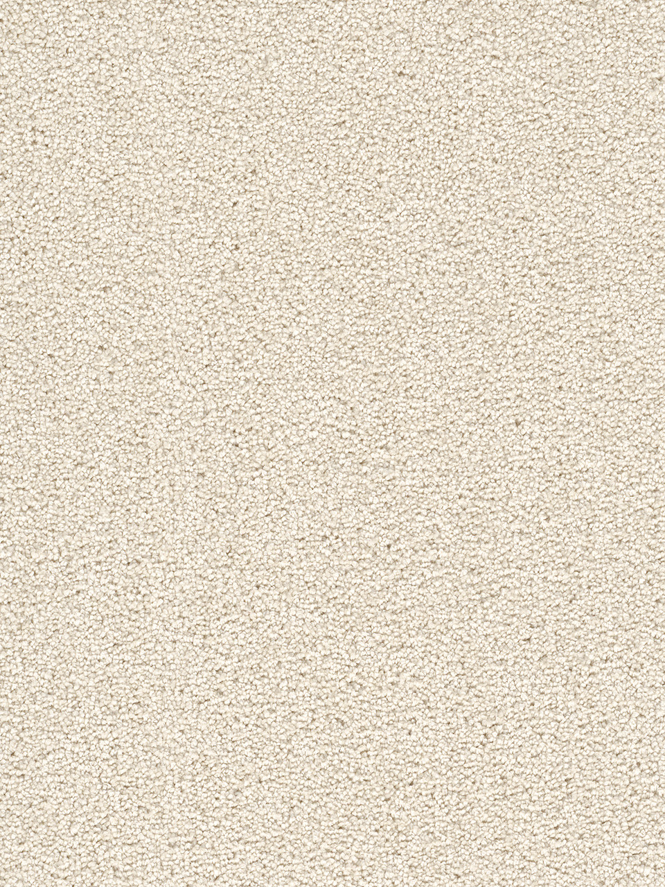 Dreamweaver Carpet Cape Cod Pearlesque Carpet 2540_716