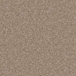 Dreamweaver Carpet Cape Cod Quail Carpet 2540_725