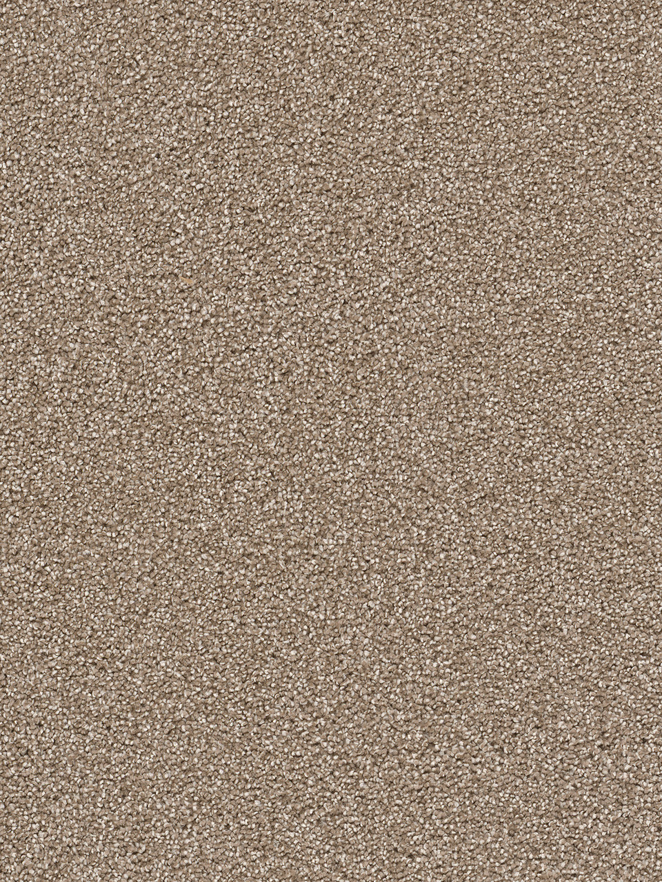 Dreamweaver Carpet Cape Cod Quail Carpet 2540_725