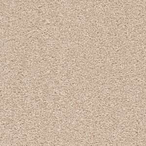 Dreamweaver Carpet Cape Cod Blush Carpet 2540_735
