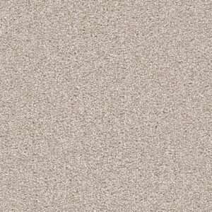 Dreamweaver Carpet Cape Cod Parchment Carpet 2540_744
