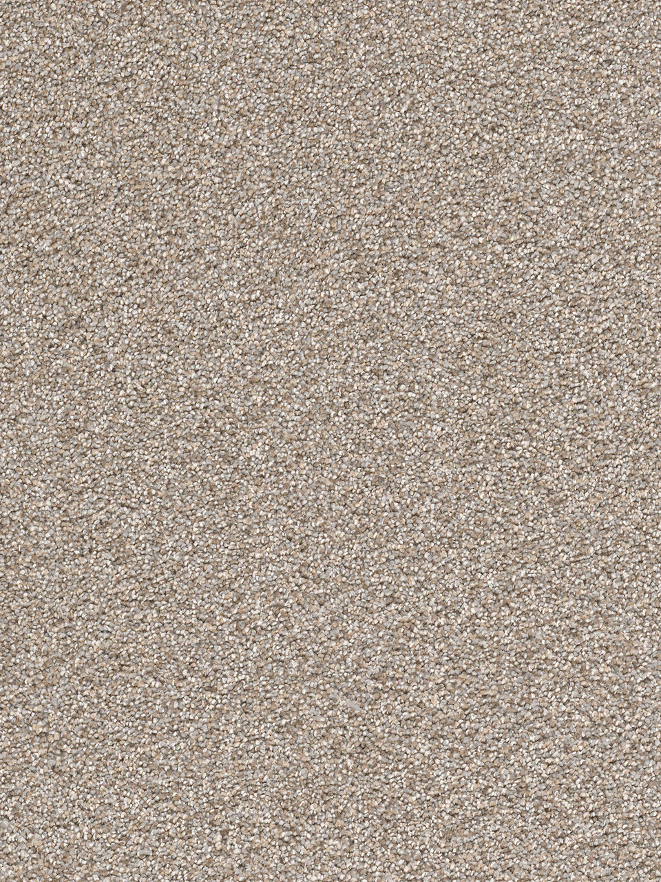 Dreamweaver Carpet Cape Cod Iron Frost Carpet 2540_815