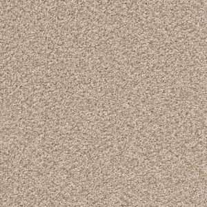 Dreamweaver Carpet Cape Cod Linen Carpet 2540_824