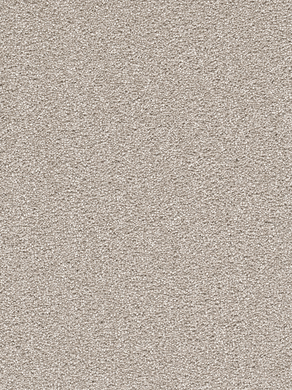 Dreamweaver Carpet Cape Cod Silver Lining Carpet 2540_830