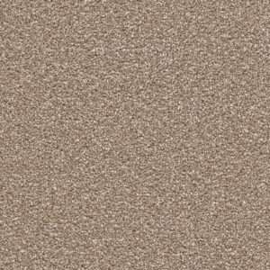 Dreamweaver Carpet Cape Cod Acorn Carpet 2540_858