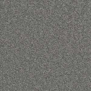 Dreamweaver Carpet Cape Cod Pewter Carpet 2540_890
