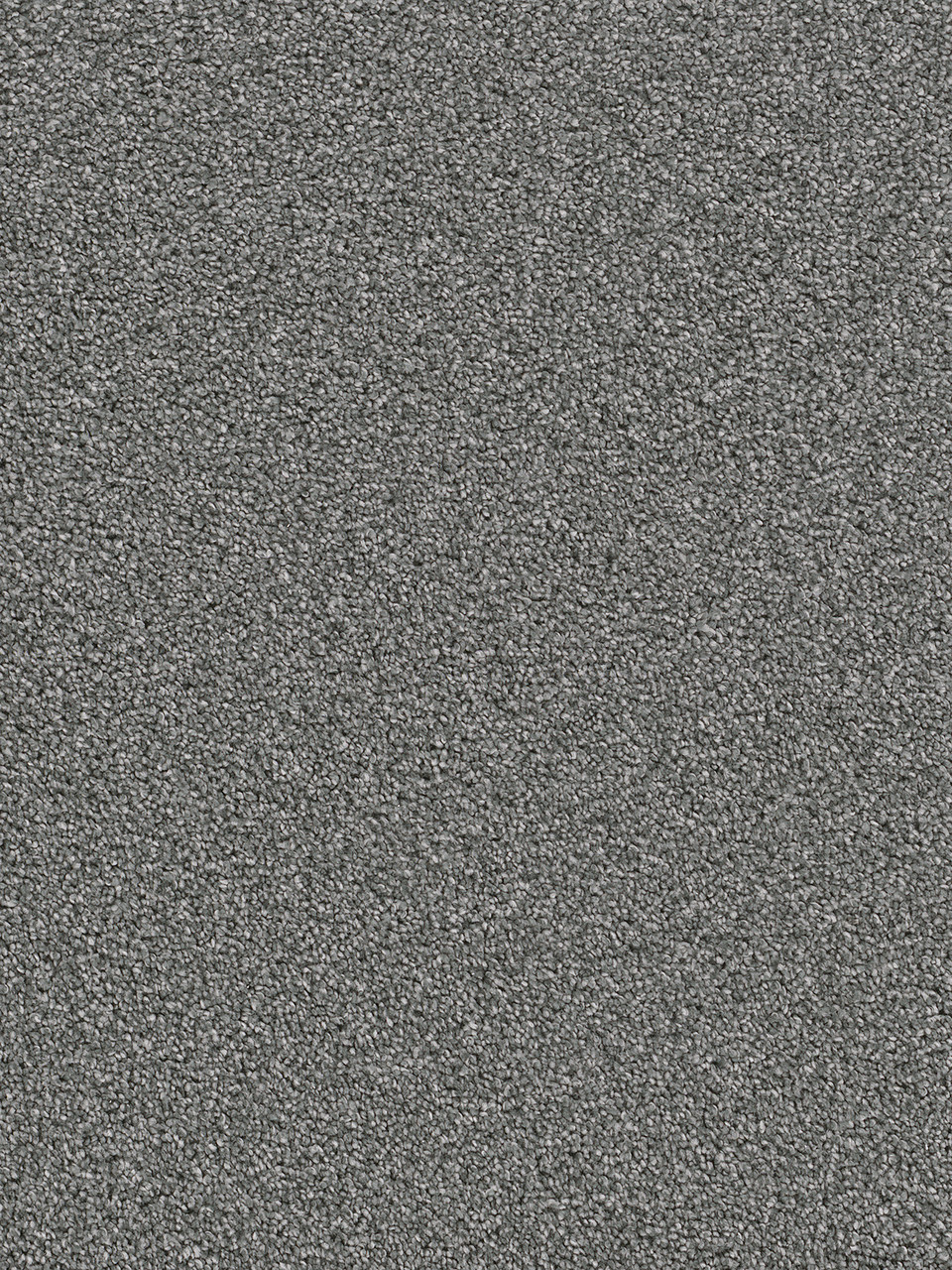 Dreamweaver Carpet Cape Cod Pewter Carpet 2540_890