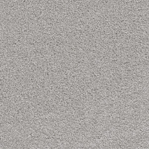 Dreamweaver Carpet Cape Cod Icicle Carpet 2540_910