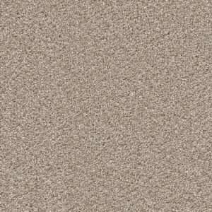 Dreamweaver Carpet Cape Cod Ash Carpet 2540_945
