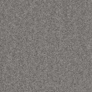 Dreamweaver Carpet Cape Cod Armor Carpet 2540_968