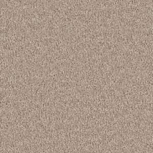 Dreamweaver Carpet East Hampton Cashew Carpet 2550_530