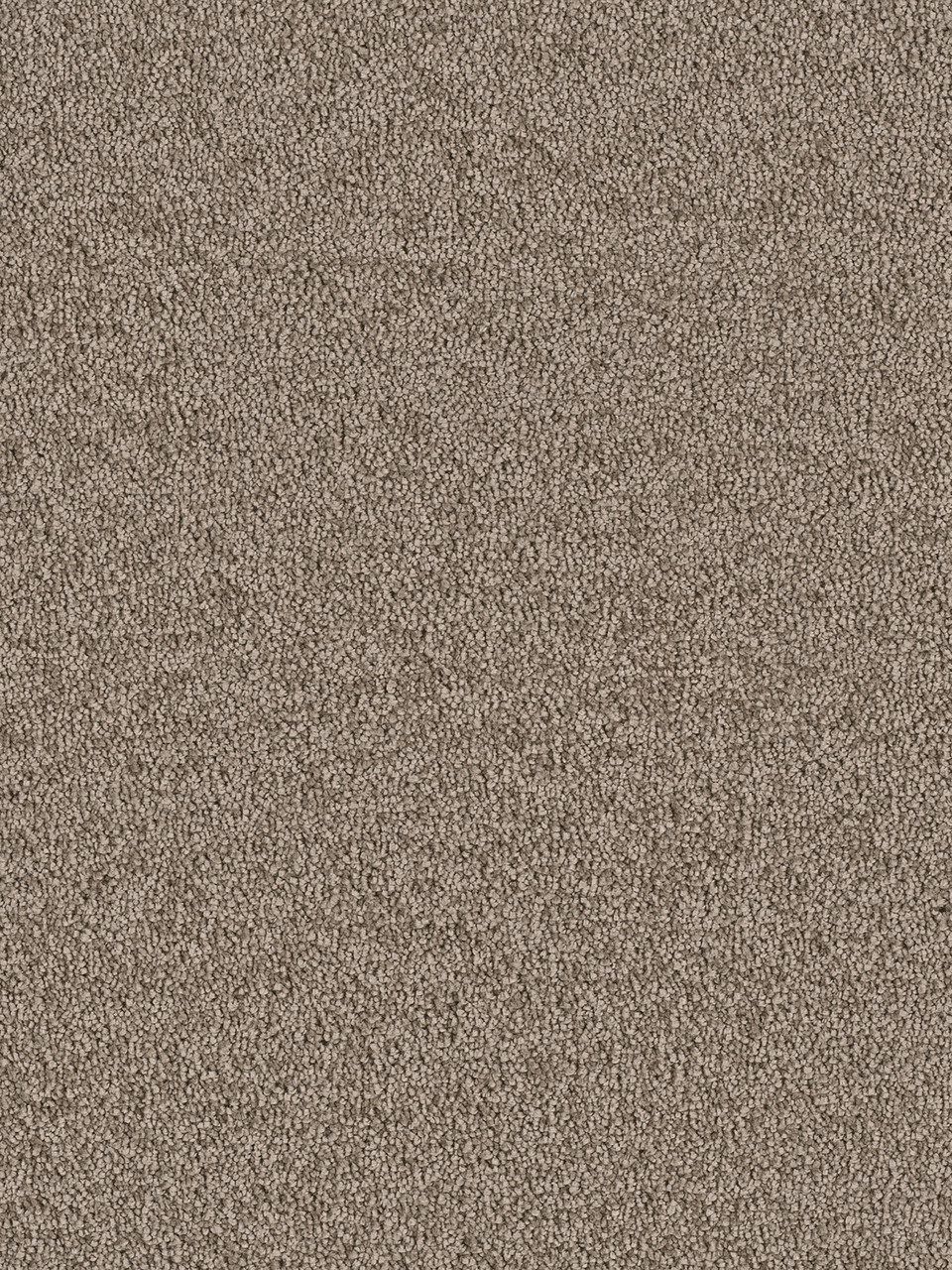 Dreamweaver Carpet East Hampton Cocoa Carpet 2550_550