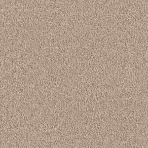 Dreamweaver Carpet East Hampton Bamboo Carpet 2550_565