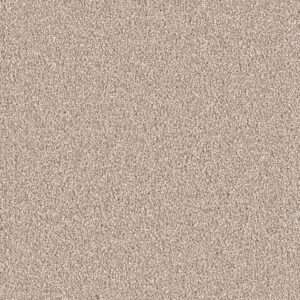 Dreamweaver Carpet East Hampton Sawgrass Carpet 2550_701