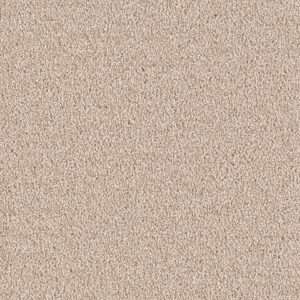 Dreamweaver Carpet East Hampton Sand Carpet 2550_710