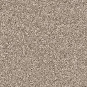 Dreamweaver Carpet East Hampton Quail Carpet 2550_725
